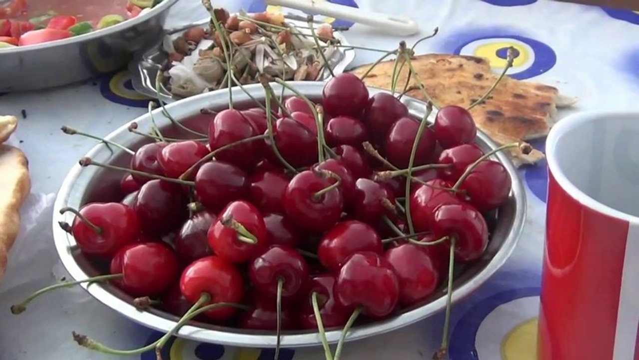 Cemal Öztaş Yılana Bak Yılana
