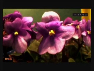 ERSEN & DADAŞLAR--ALLI TURNAM. BEST OF 2012