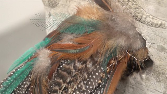 Interview with Artist Sakshi Gupta at India Platform, Art Stage Singapore 2014