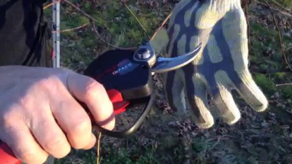 Dispositif Supplémentaire Electronique de Sécurité F3010