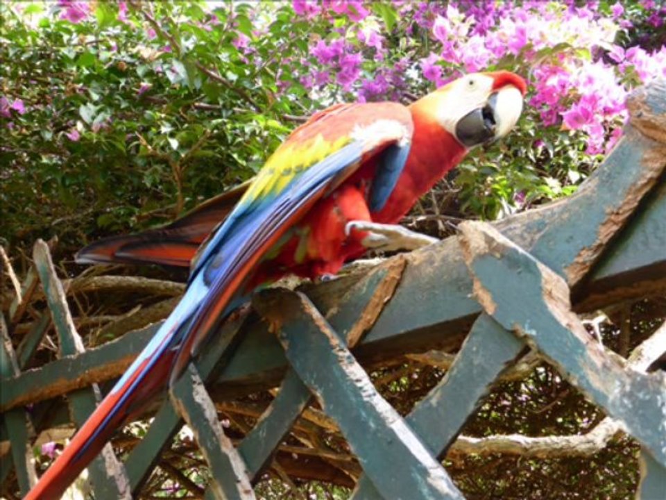 PERU' - INTI ILLIMANI - BY GIUSEPPE INFANTINO