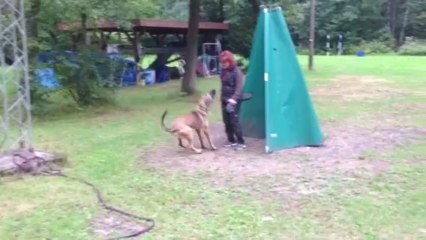 Be Aware Flash @ Training Stellen/Verbellen (8 Monate)