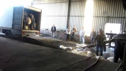 Osmaniye'de 1 Ton 625 Kilogram Uyuşturucu İmha Edildi