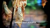 لمن يبحث عن التوبة (كلمات مؤثرة) -el sheikh khaled al rached