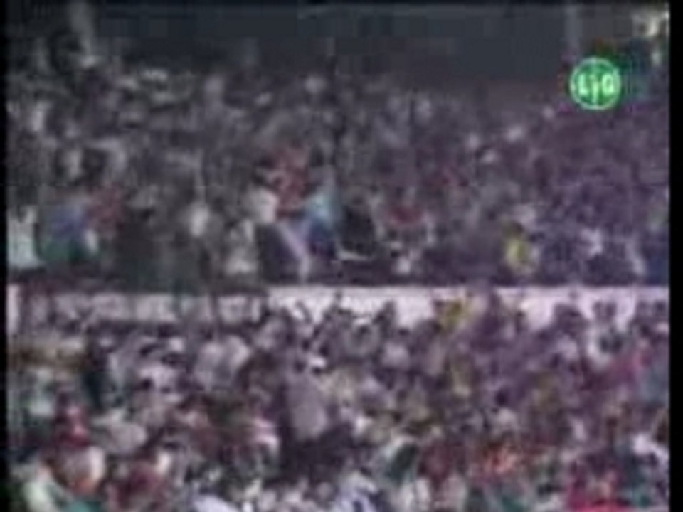 Bjk