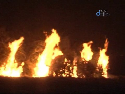 2014_01_19 crémation des sapins de Noël à Burnhaupt le Haut