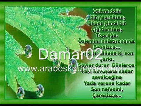 Yavuz Taner En Mutlu Günümde