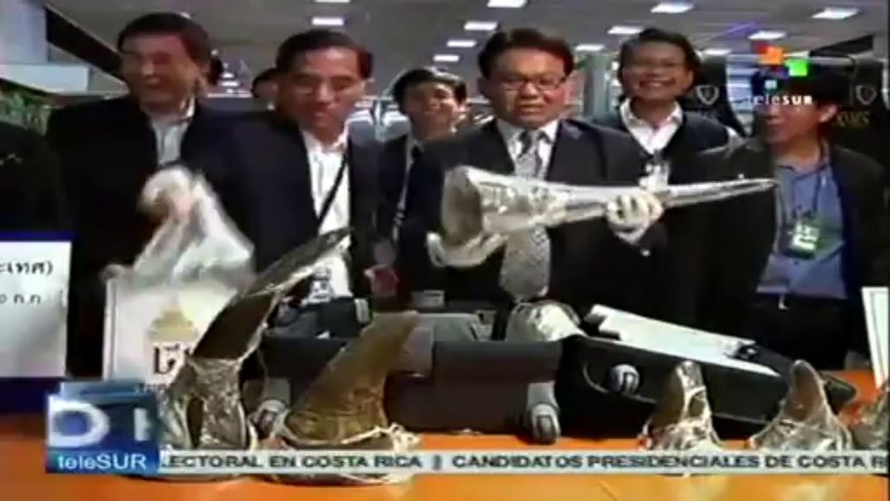 Incautan cuernos de rinoceronte en el aeropuerto de Tailandia