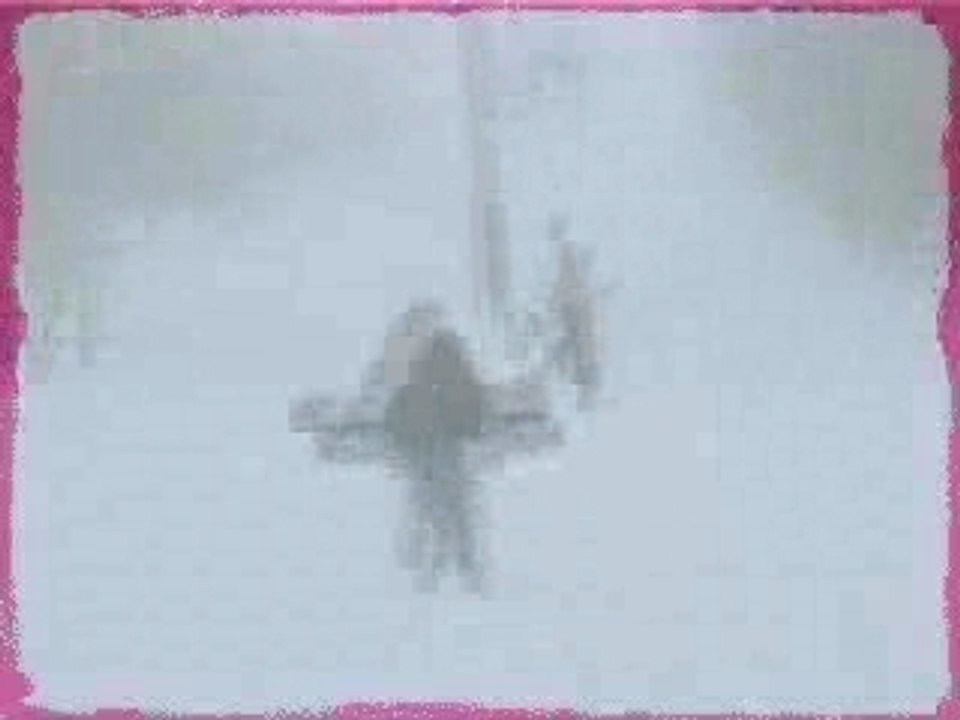 Snow 2006