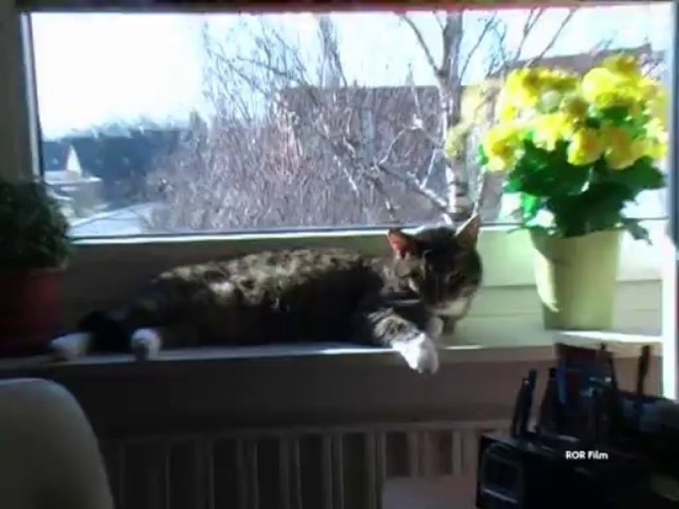 Carlchen- mal eben so.