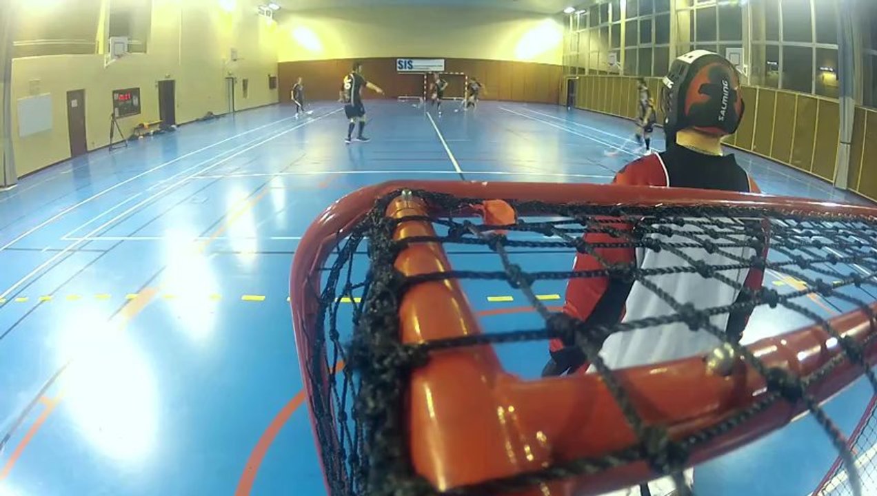 Les Loups Lorrains floorball Nancy