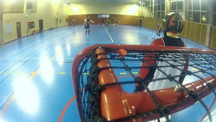 Les Loups Lorrains floorball Nancy