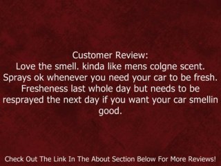 2.5oz. Little Tree in a Can Aerosol Spray Fragrance - Black Ice Review