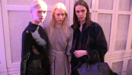 Stella McCartney Autumn 2014 Presentation