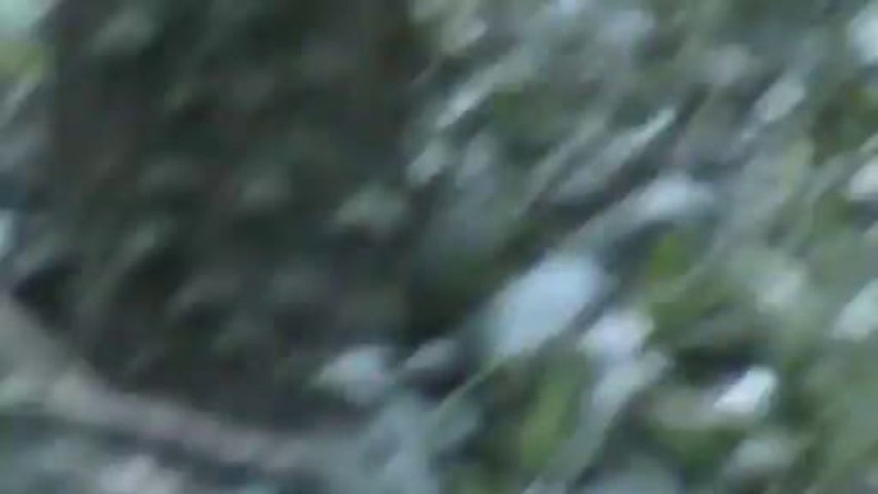 20080719131844