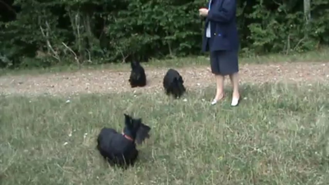 20080721173520