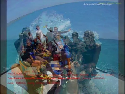 Stage Immersion avec les dauphins - Hurghada Décembre 2013