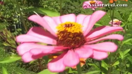 Maldives Tour by Asiatravel.com