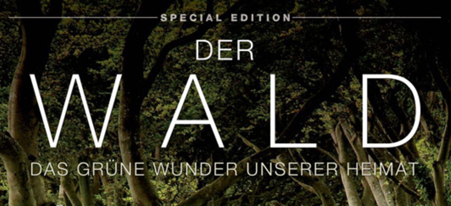 Der-Wald (2012) [Dokumentation] | Film (deutsch)