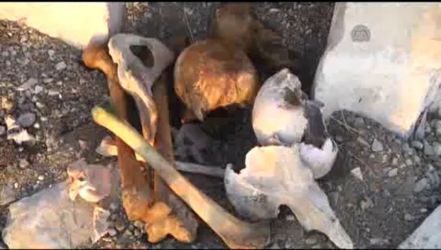 Sular çekildi kemikler ortaya çıktı