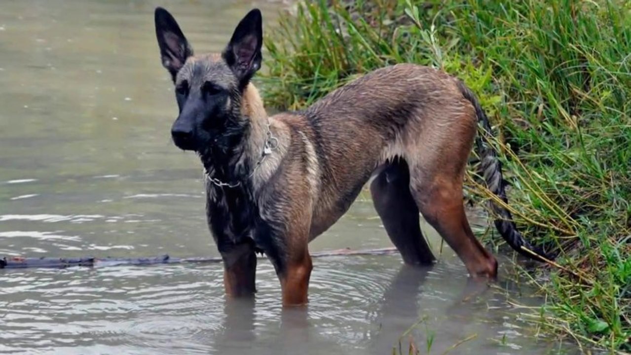 Be Aware Flash + Dana @ Badespass