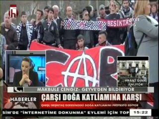 ÇARŞI DOĞA KATLİAMINA KARŞI 19 OCAK 2013