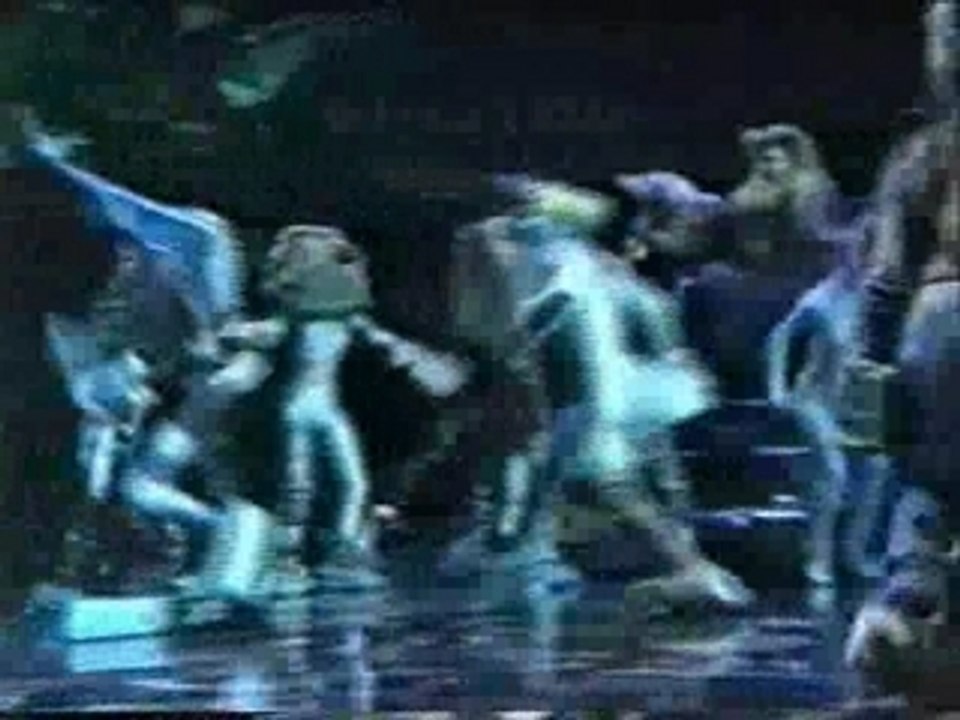 Cats Paris 1990 - 10 - Loulous/Pekinois