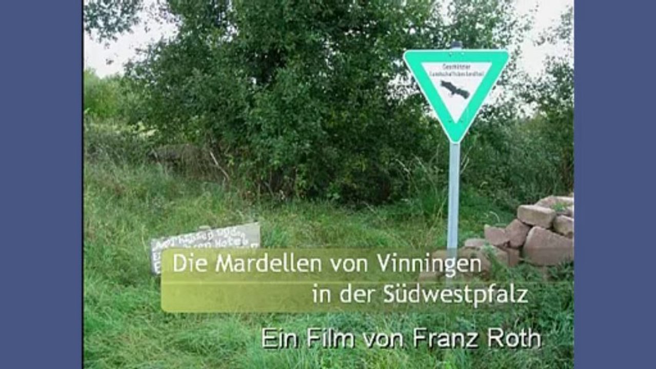 Die Mardellen von Vinningen im Jahr 2009