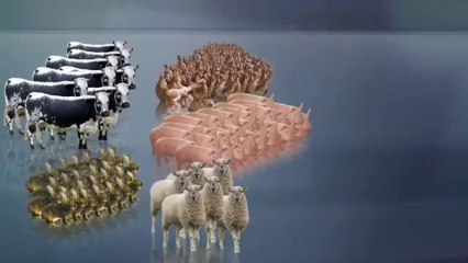 Dossier viande - La viande, qu’est-ce que c’est ? - Documentaire