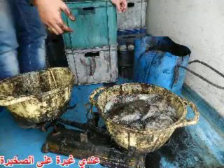 peche traditionnelle  najem lassad 2