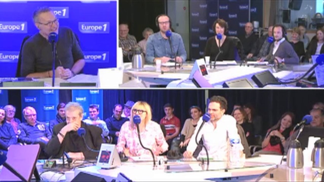 Ruquier cherche labrador chocolat