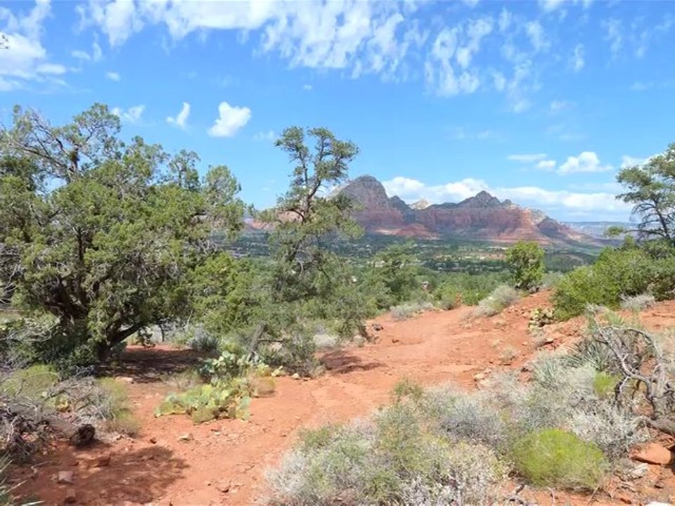 Matthew Bueno Activation from the CJ Miller Show