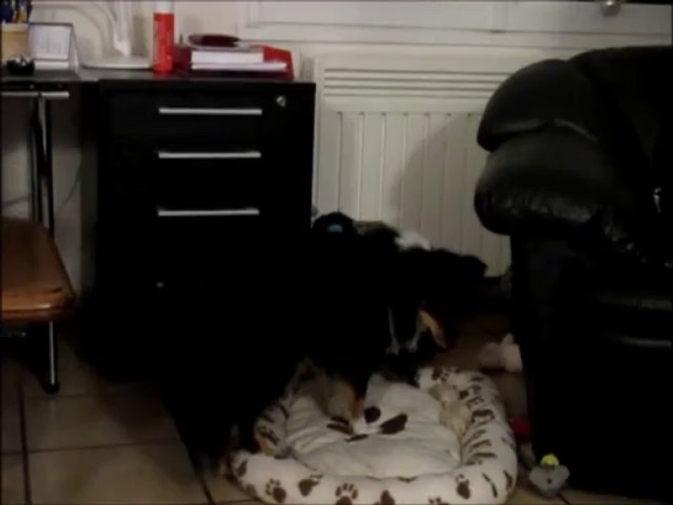 Reveillon 31.12.2013 - Izunt'It et It's Me