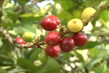 23 de diciembre de 2013 Jericó - Boyaca