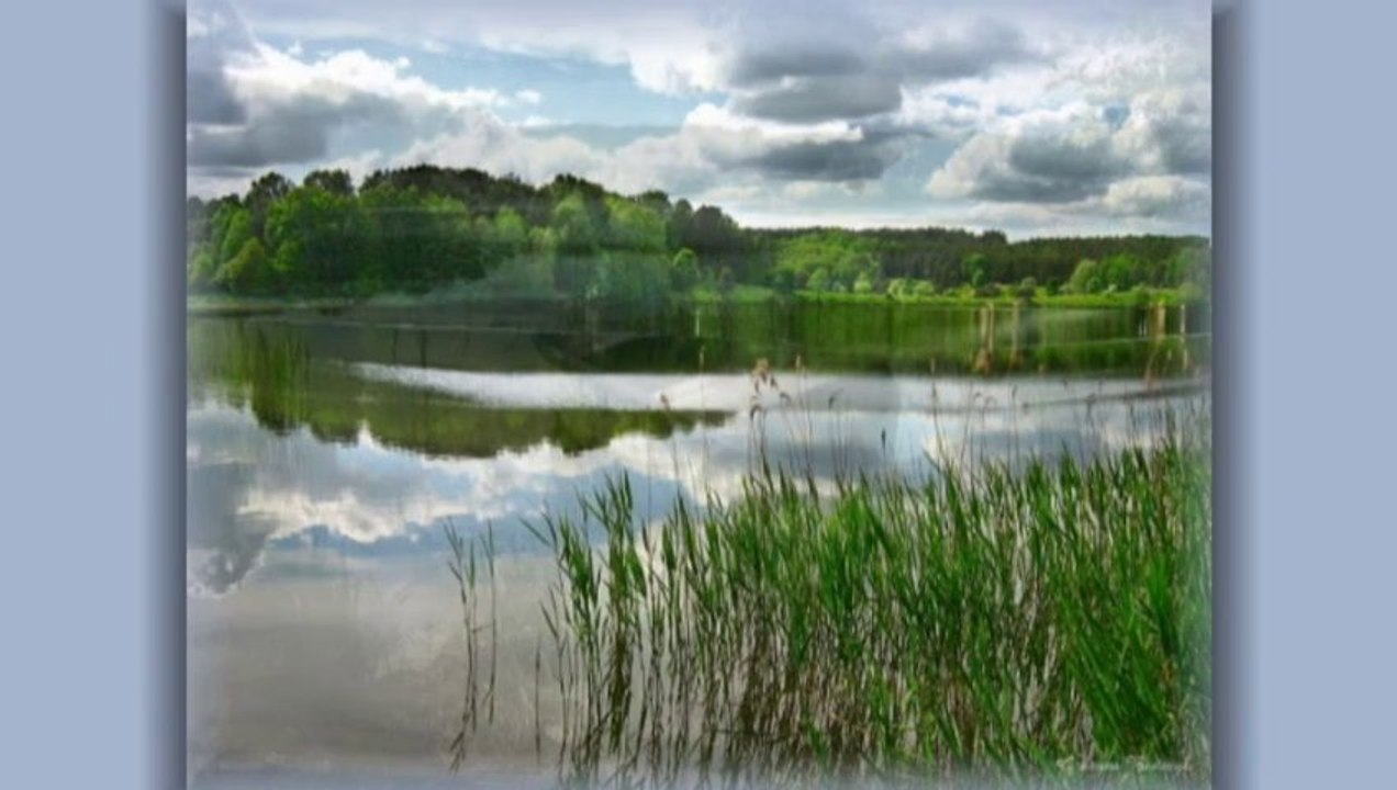 Jezioro bez łabędzi