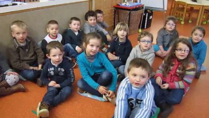 LES BETISES DU ROI DES BOIS