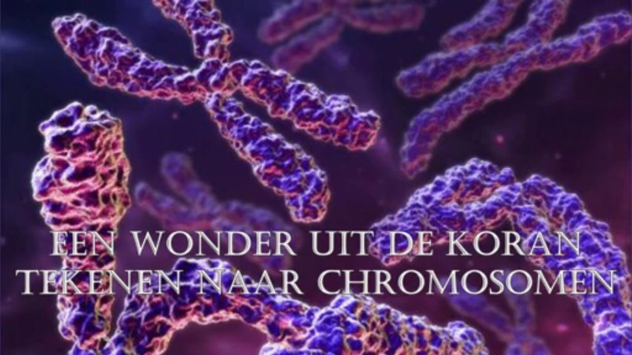 TEKENEN NAAR CHROMOSOMEN