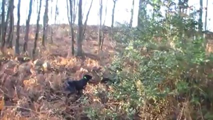 19 janv 14 Arrêt Anouk Easy Boussole.  Manquée Alain