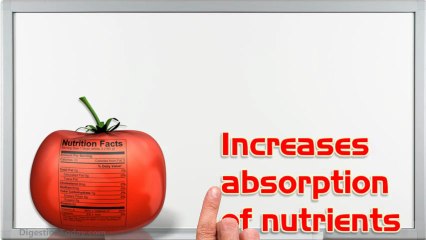 Probiotics & A Healthy New Year