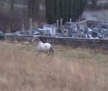 Mogrovejo II, 18 janvier 2014