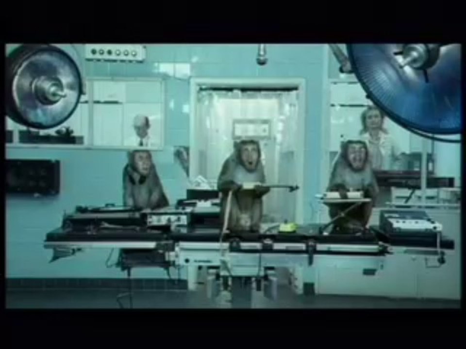 basement jaxx
