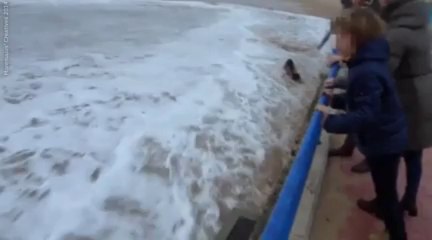 The Sea Is Not Impressed By Your Dancing