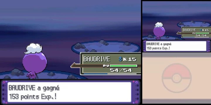 Pokémon Pt: Max% [6] Nouveaux Membres