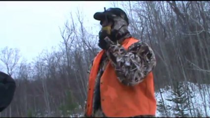 chevreuil Québec Ontario 2013.parti 2