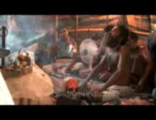 fast love vashikaran specialist 9815432022