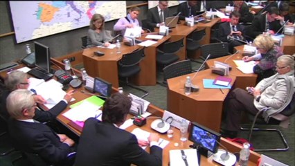 Audition de M. Arnauld Leroy, sur le programme de l'UE pour l'environnement - Mardi 21 Janvier 2014