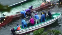 Japanese dolphin hunt continues despite controversy