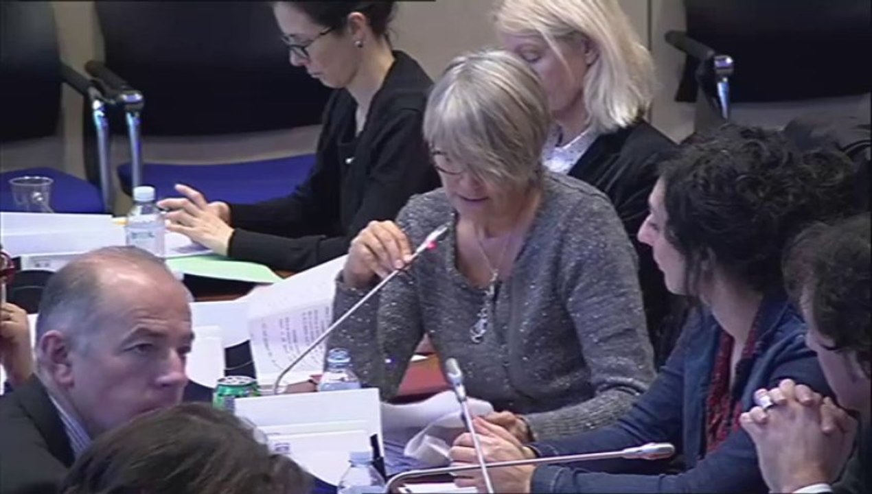 Véronique Massonneau - Audition de M.Lenoir, président de la CAF