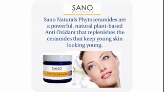 Phytoceramides:  Anti Oxidant Skin Care for Anti Aging