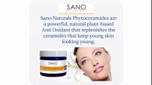Phytoceramides:  Anti Oxidant Skin Care for Anti Aging